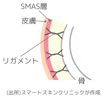 Ligament Explanatory Chart