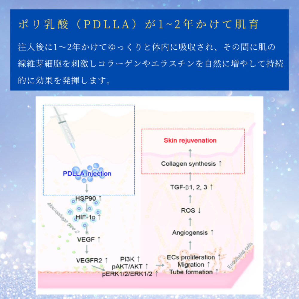 JUVELUX Mechanism of Action