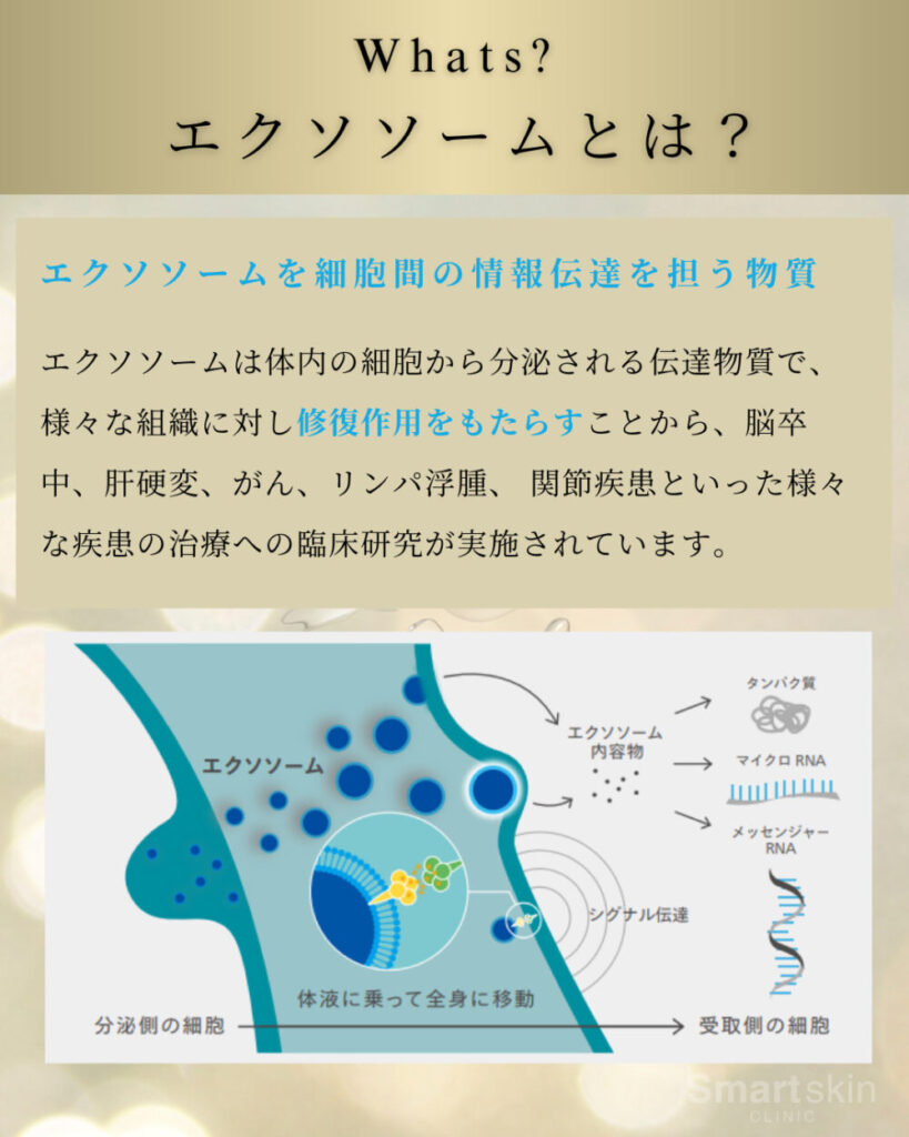 What is an exosome?